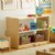 Alternate Image #1 of Carolina 2-Shelf Storage Unit - Acrylic Back