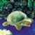 Alternate Image #1 of Baby Turtle Hand Puppet