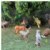 Alternate Image #1 of North American Wildlife Minis - Set of 12