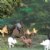 Alternate Image #2 of North American Wildlife Minis - Set of 12