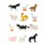 Main Image of Farm Animal Minis - Set of 12