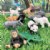 Alternate Image #1 of Zoo Babies - Set of 11