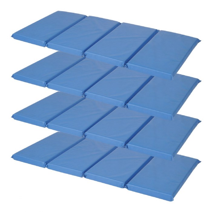 Primary Image of 4-Section 2" Thick Mat - Set of 4