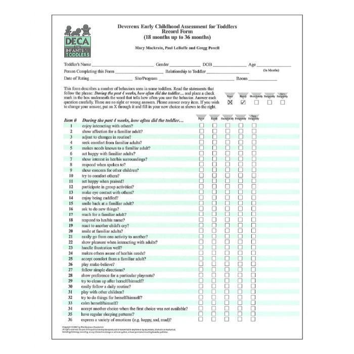 Primary Image of DECA-I/T Toddler Record Forms