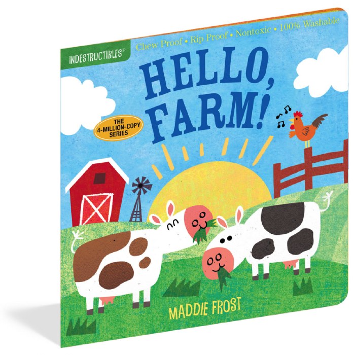 Alternate Image #1 of Indestructibles Community Picture Books - Set of 3