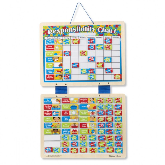 Primary Image of Magnetic Responsibility Chart