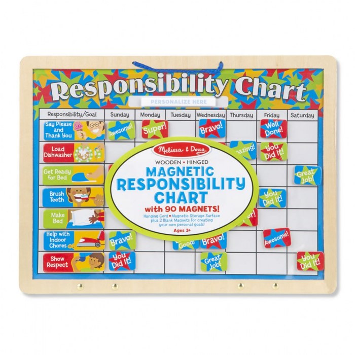 Alternate Image #1 of Magnetic Responsibility Chart