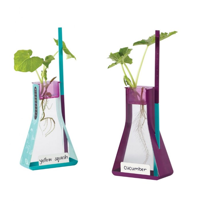 Primary Image of Nancy B's Science Club&reg; Hydroponics Kit