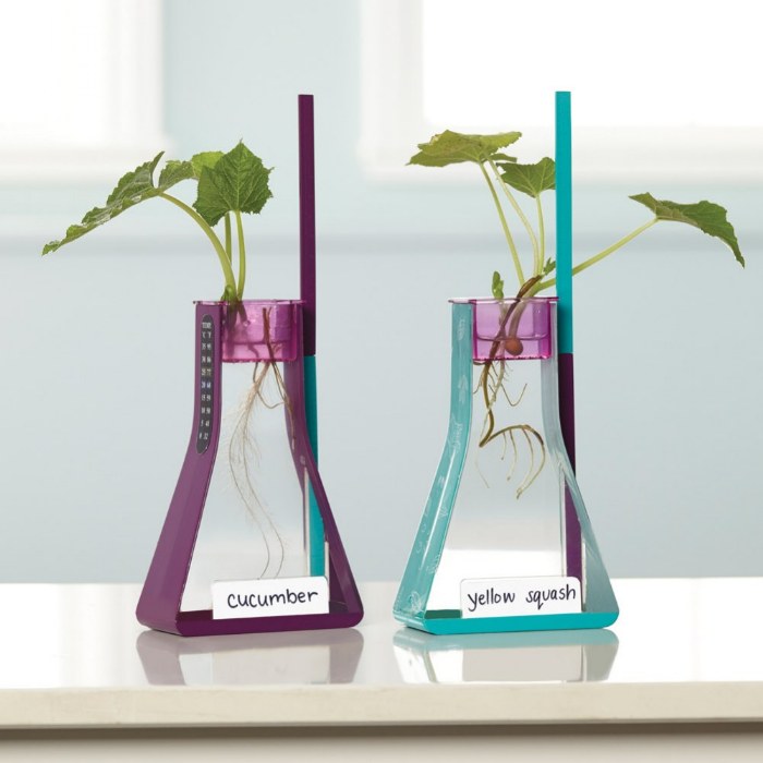 Alternate Image #1 of Nancy B's Science Club&reg; Hydroponics Kit