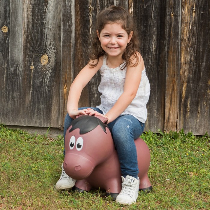 Alternate Image #1 of Farm Hoppers&reg; Inflatable Bouncing Brown Horse