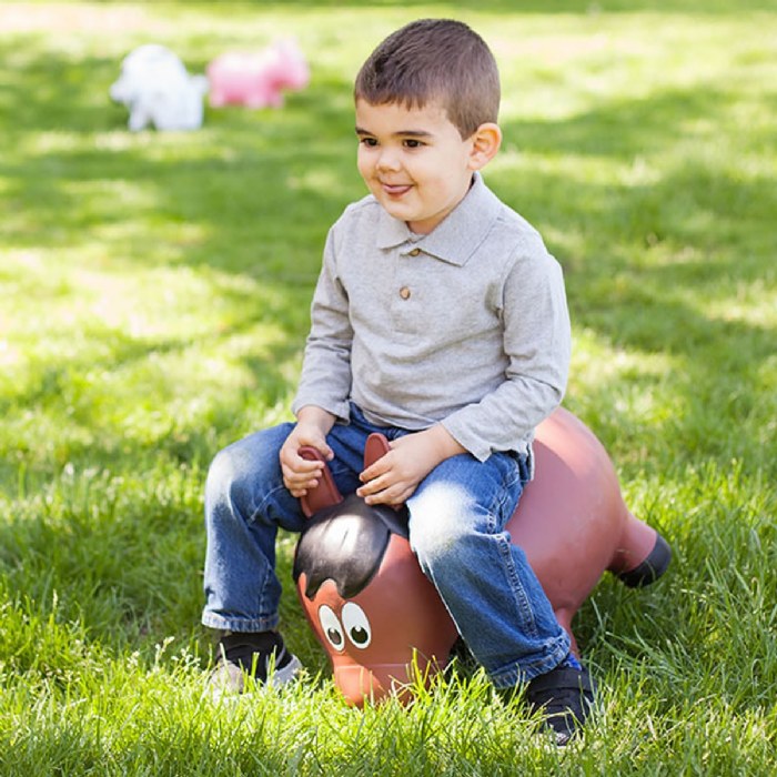 Alternate Image #1 of Farm Hoppers&reg; Inflatable Bouncing Brown Horse