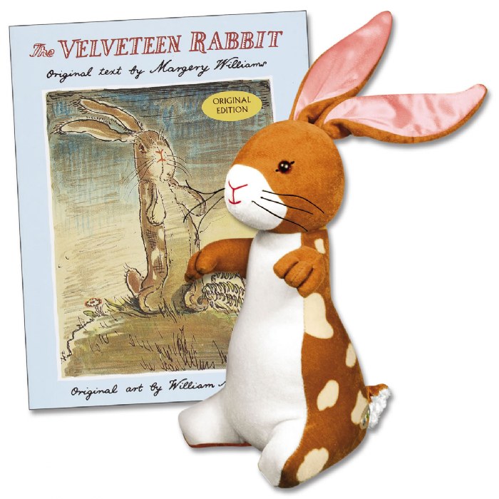 Primary Image of Velveteen Rabbit Plush and Hardcover Book