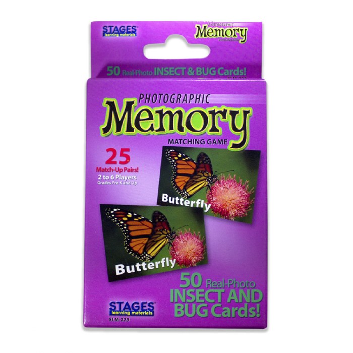 Primary Image of Insects & Bugs Memory Matching Game