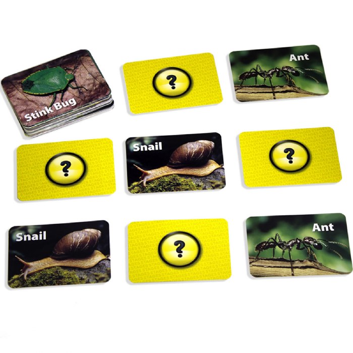 Alternate Image #1 of Insects & Bugs Memory Matching Game