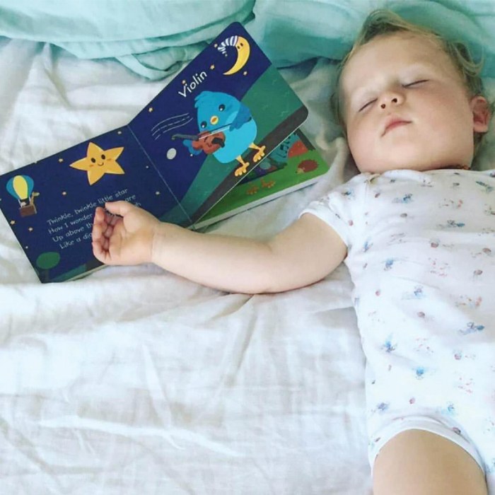 Alternate Image #1 of Ditty Bird Instrumental and Classical Song Books - Set of 2