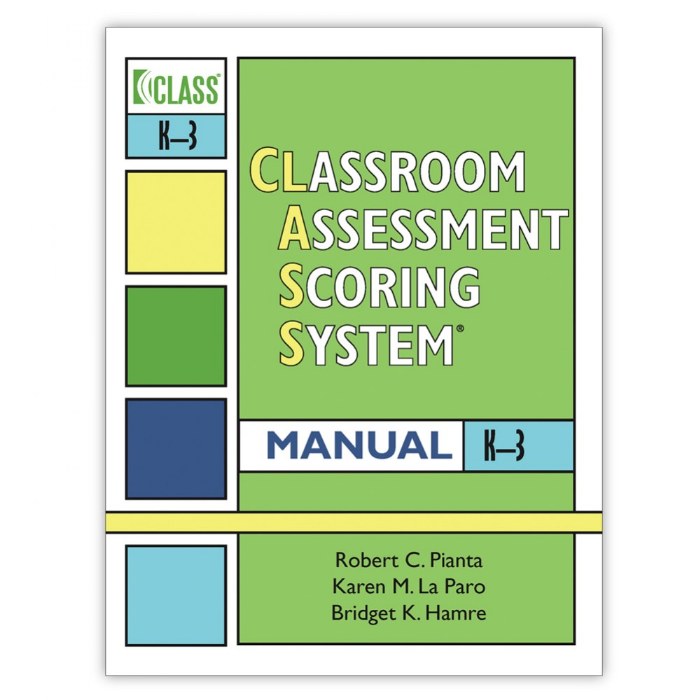 Primary Image of CLASS&reg; Manual - Grades K-3 - English