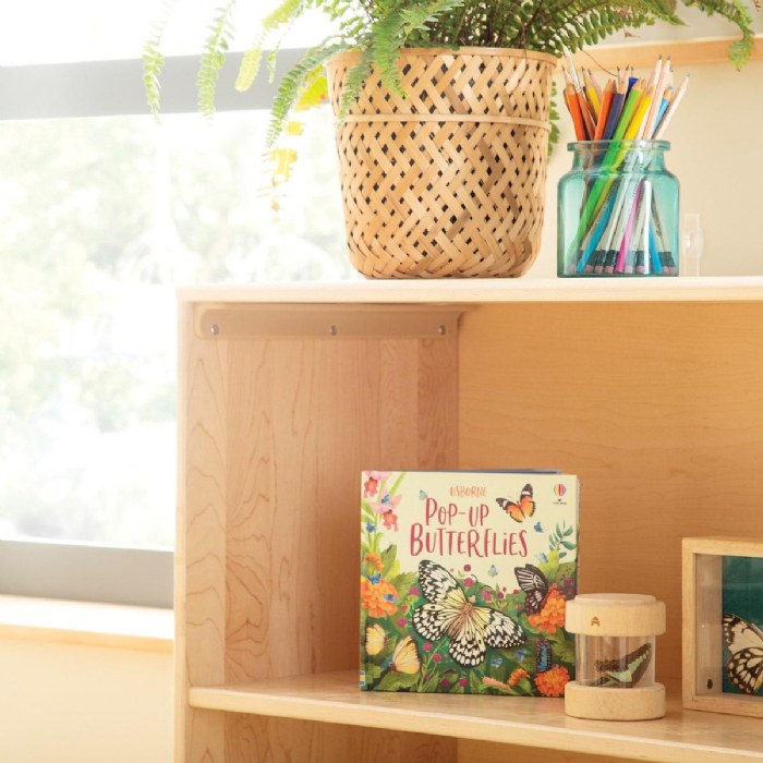 Alternate Image #1 of Premium Solid Maple 2-Shelf Storage - Solid Back