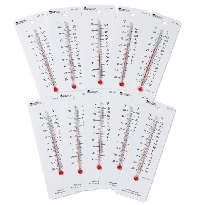 Primary Image of Student Thermometers - Set of 10