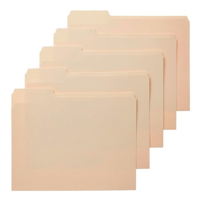Primary Image of Manilla File Folders - 100 per Box