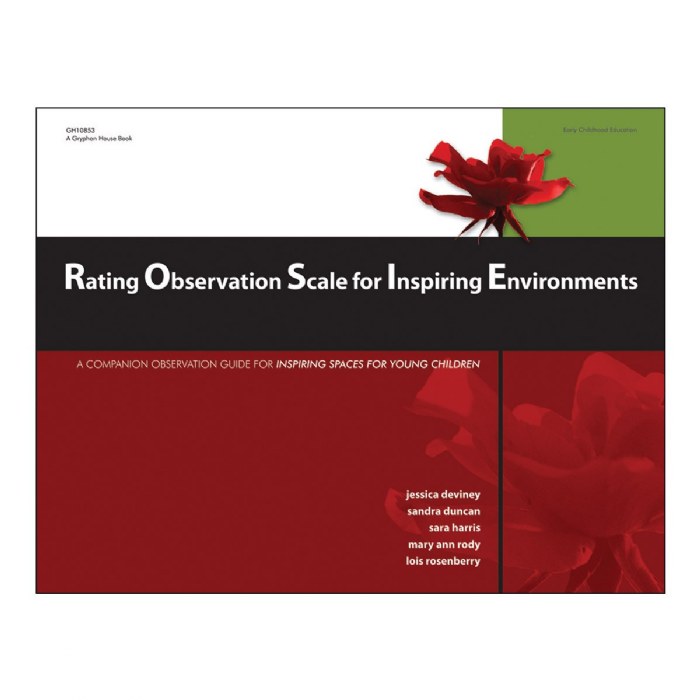 Primary Image of Rating Observation Scale for Inspiring Environments - Paperback