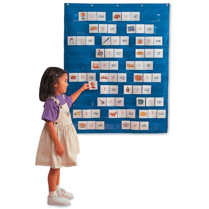 Primary Image of Pocket Wall Chart