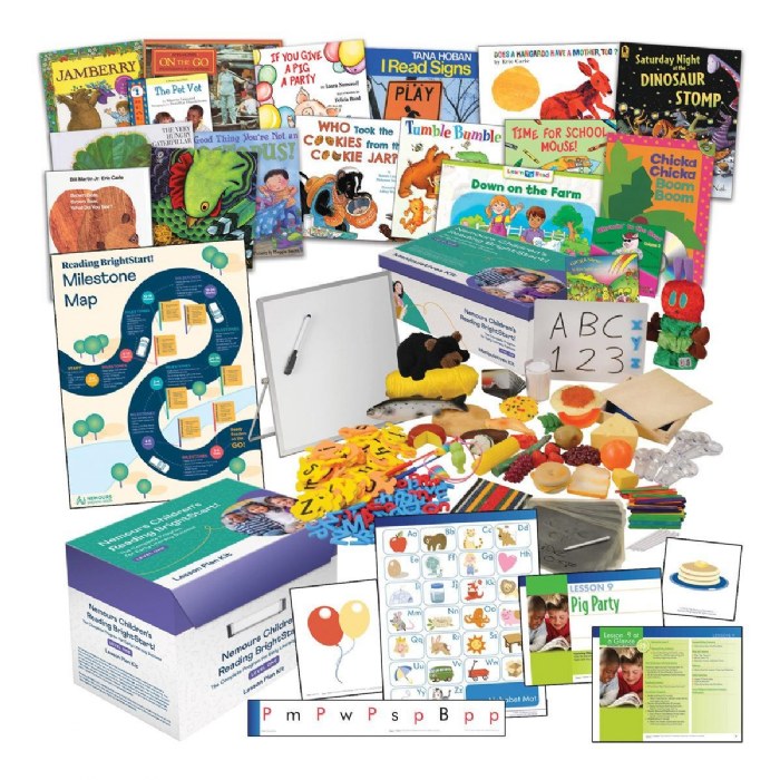 Primary Image of Nemours&reg; Reading BrightStart! The Complete Program for Early Literacy Success, Level 1