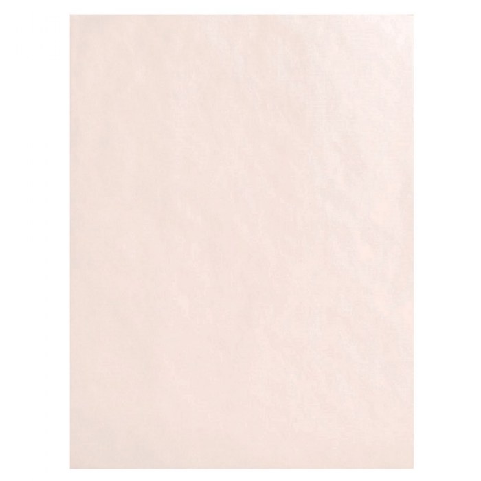 Primary Image of Tracing Paper 9" x 12" - 500 Sheets