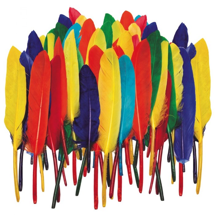 Primary Image of Feathers 3" - 5" - 28 Grams