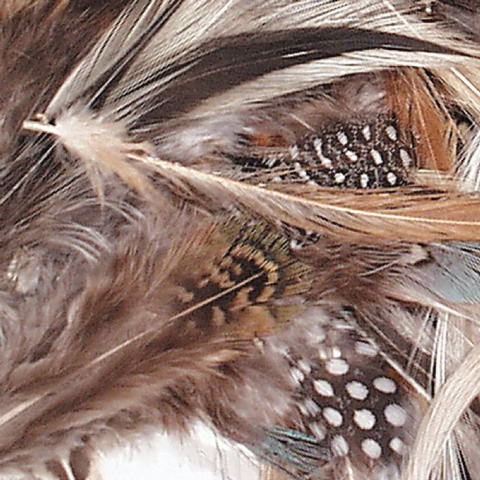 Alternate Image #1 of Natural Feathers - 3 oz.