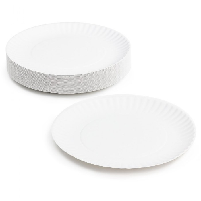 Primary Image of 9" Paper Plates - 100 Count