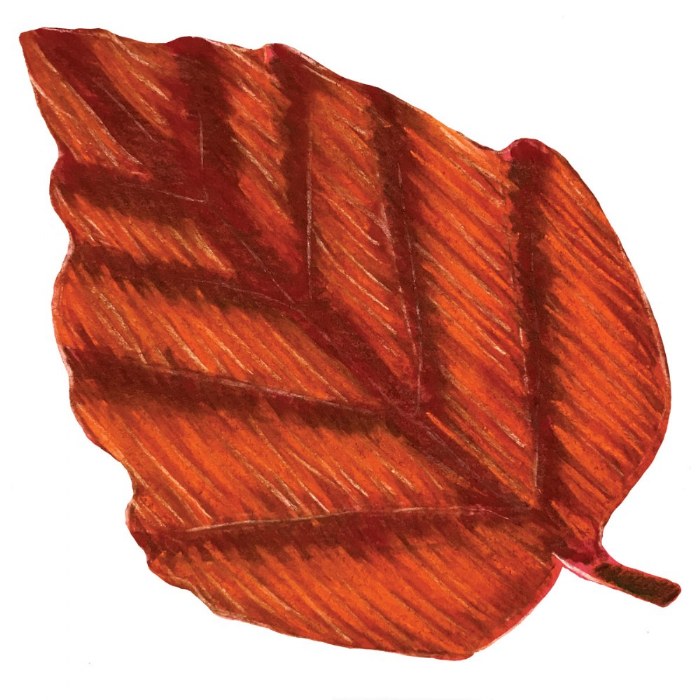 Alternate Image #1 of Perfect Leaf Stencil Set 8" - 12 Pieces