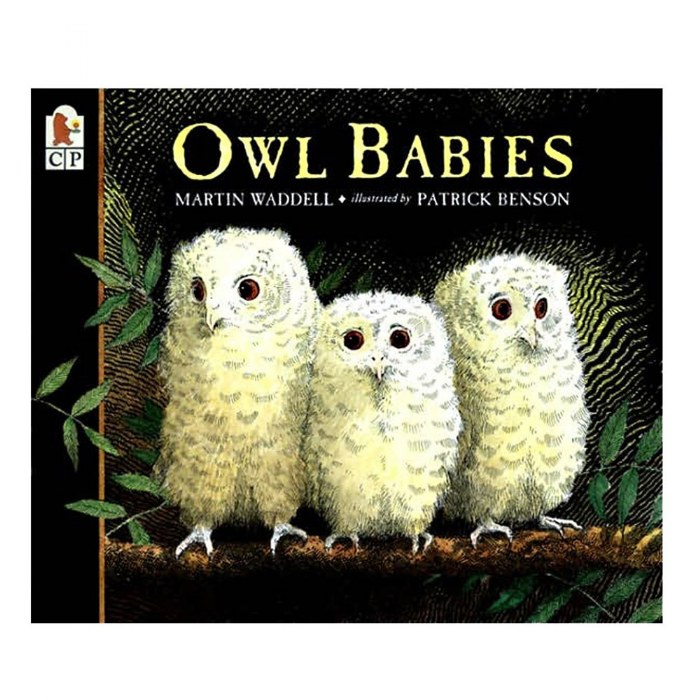 Primary Image of Owl Babies - Big Book