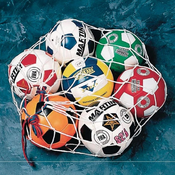 Alternate Image #1 of Sports Ball Bag