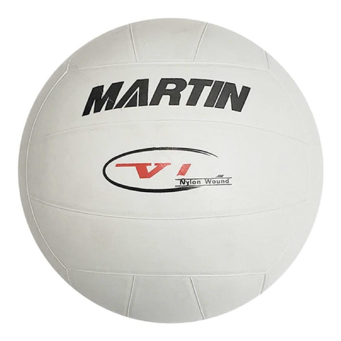 Primary Image of Classic Volleyball