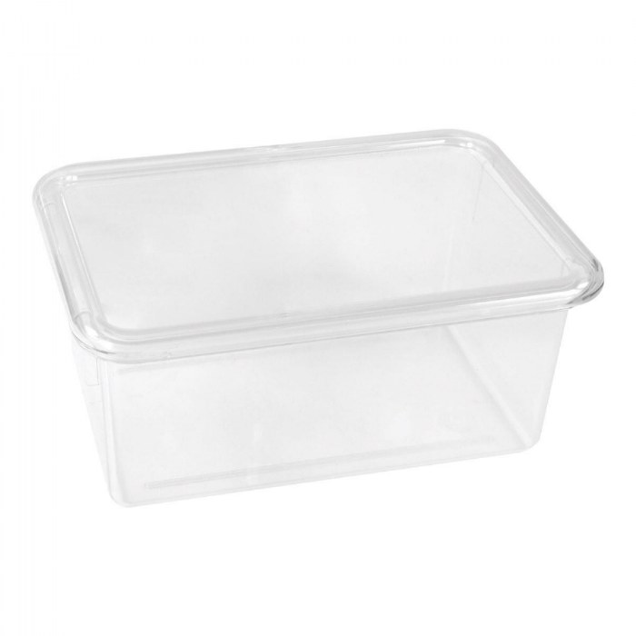 Primary Image of Clear Storage Bin  Single
