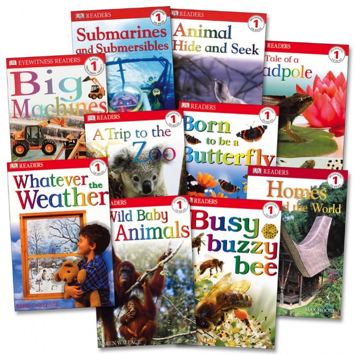 Primary Image of DK Readers Sets - Beginning to Read Level 1 - Set of 10