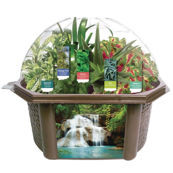 Primary Image of Sensory Eco-Biosphere Plant Dome with 5 Different Seeds