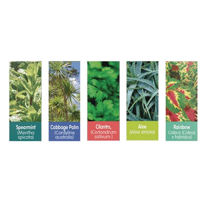 Alternate Image #1 of Sensory Eco-Biosphere Plant Dome with 5 Different Seeds