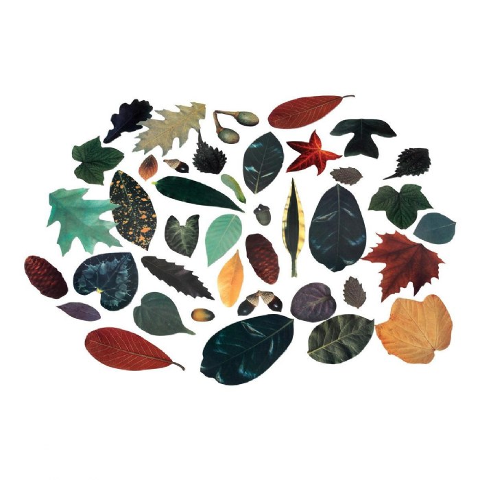 Primary Image of Crafty Leaves