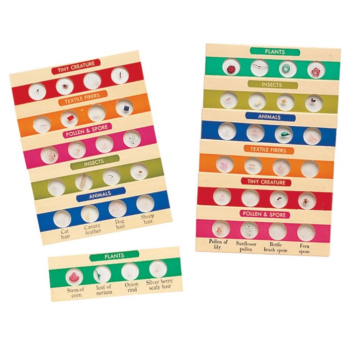 Primary Image of Prepared Slides