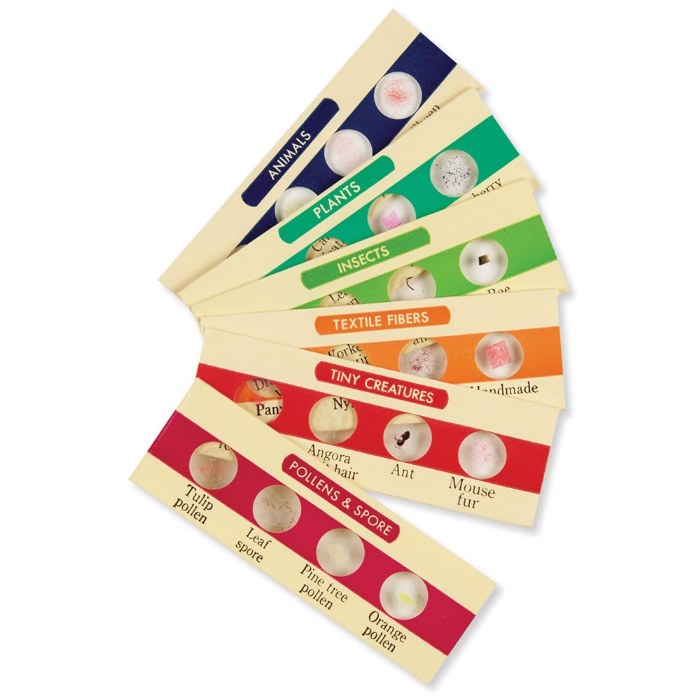 Alternate Image #1 of Prepared Slides