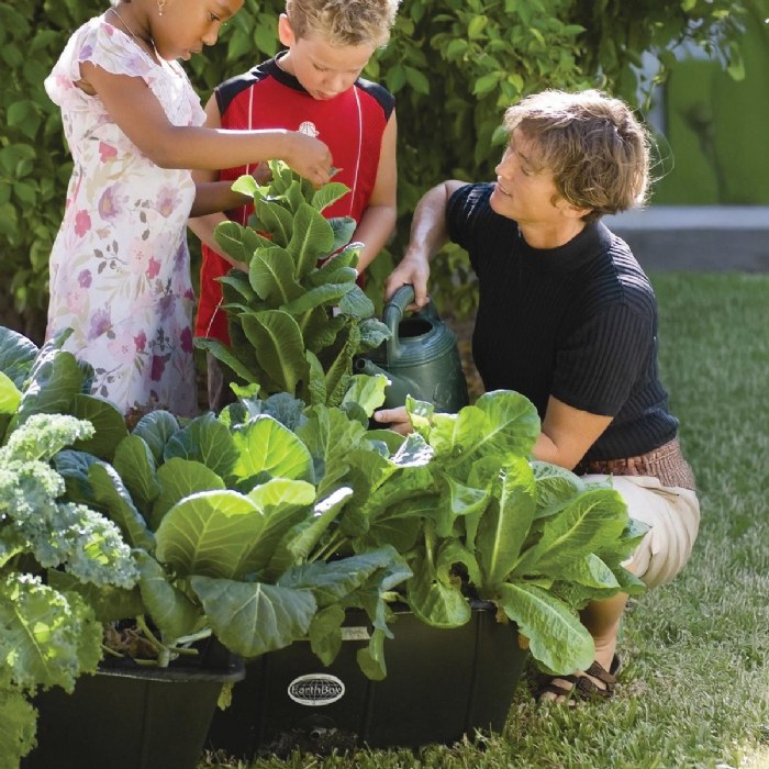 Alternate Image #1 of EarthBox: Ready to Grow Base Kit