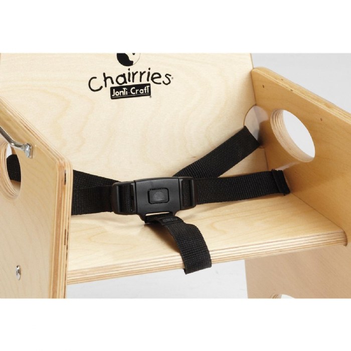 Primary Image of Chairrie&reg; Seat Belt Kit