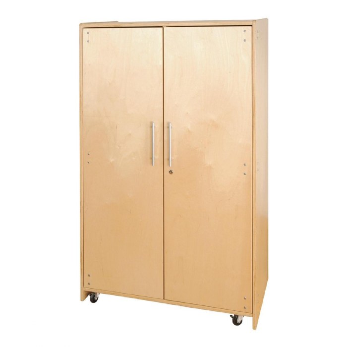 Primary Image of Mobile Teacher Cabinet