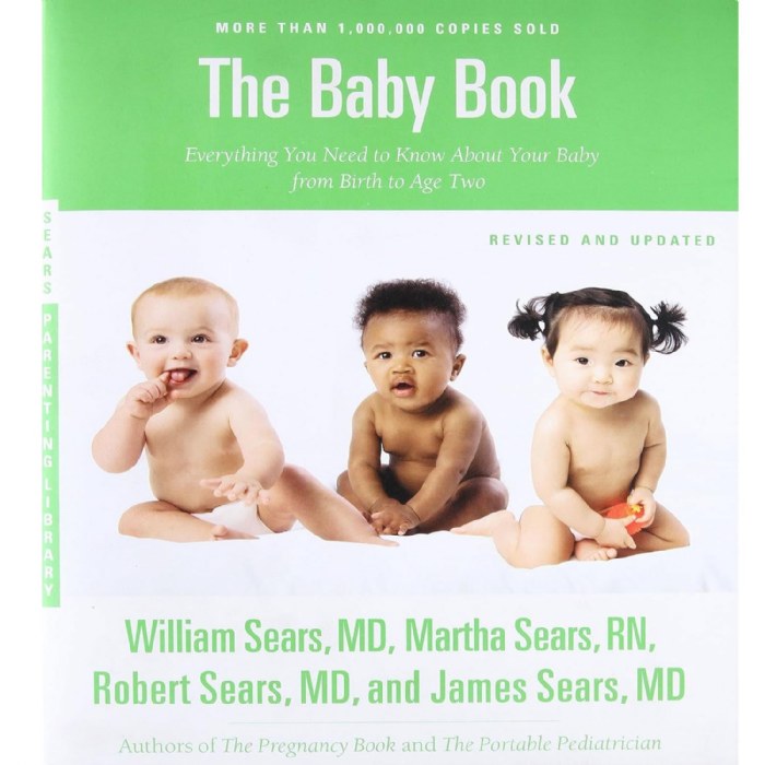 Primary Image of The Baby Book