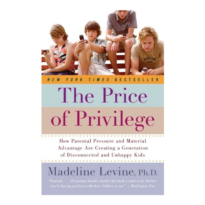 Primary Image of The Price of Privilege