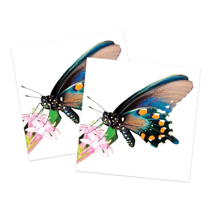 Alternate Image #1 of Bug-tastic Memory Match Game