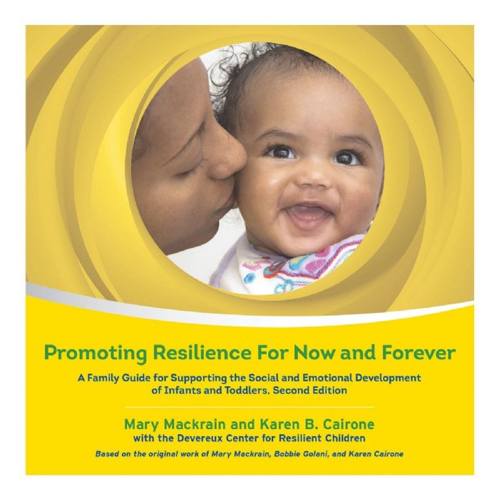 Primary Image of Promoting Resilience For Now and Forever - Infant/Toddler - Set of 20