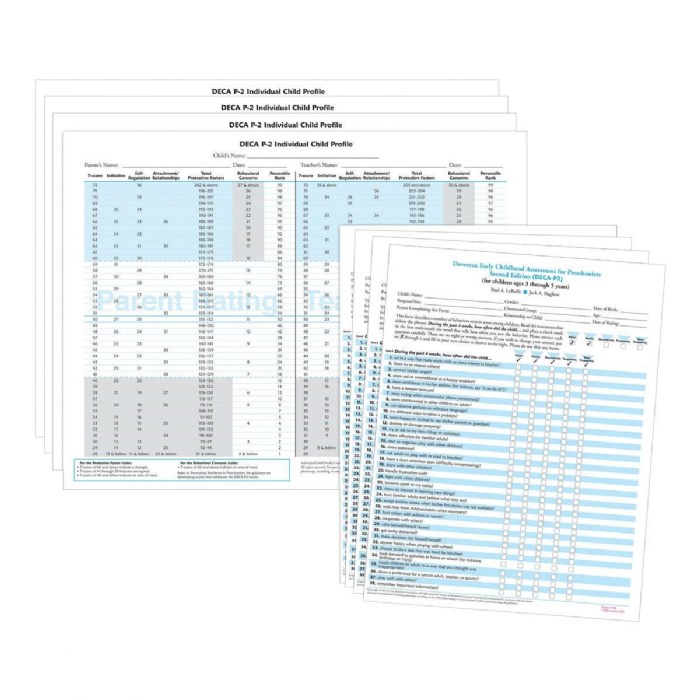 Primary Image of DECA-P2 Record Forms