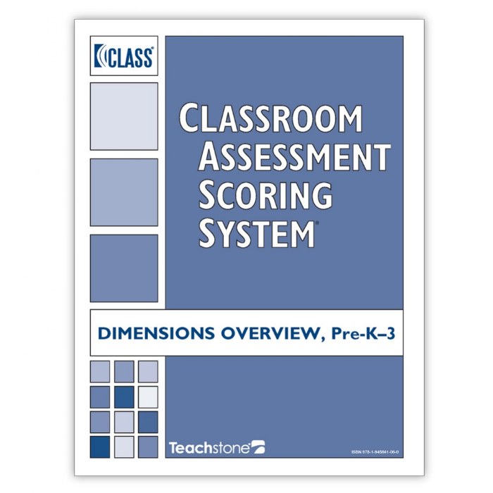 Primary Image of CLASS&reg; Dimensions Overview - PreK - Grade 3 - Set of 5